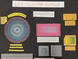 Mathématiques et illusions d'optique (Issa, Souleymane, Shedly (...)
